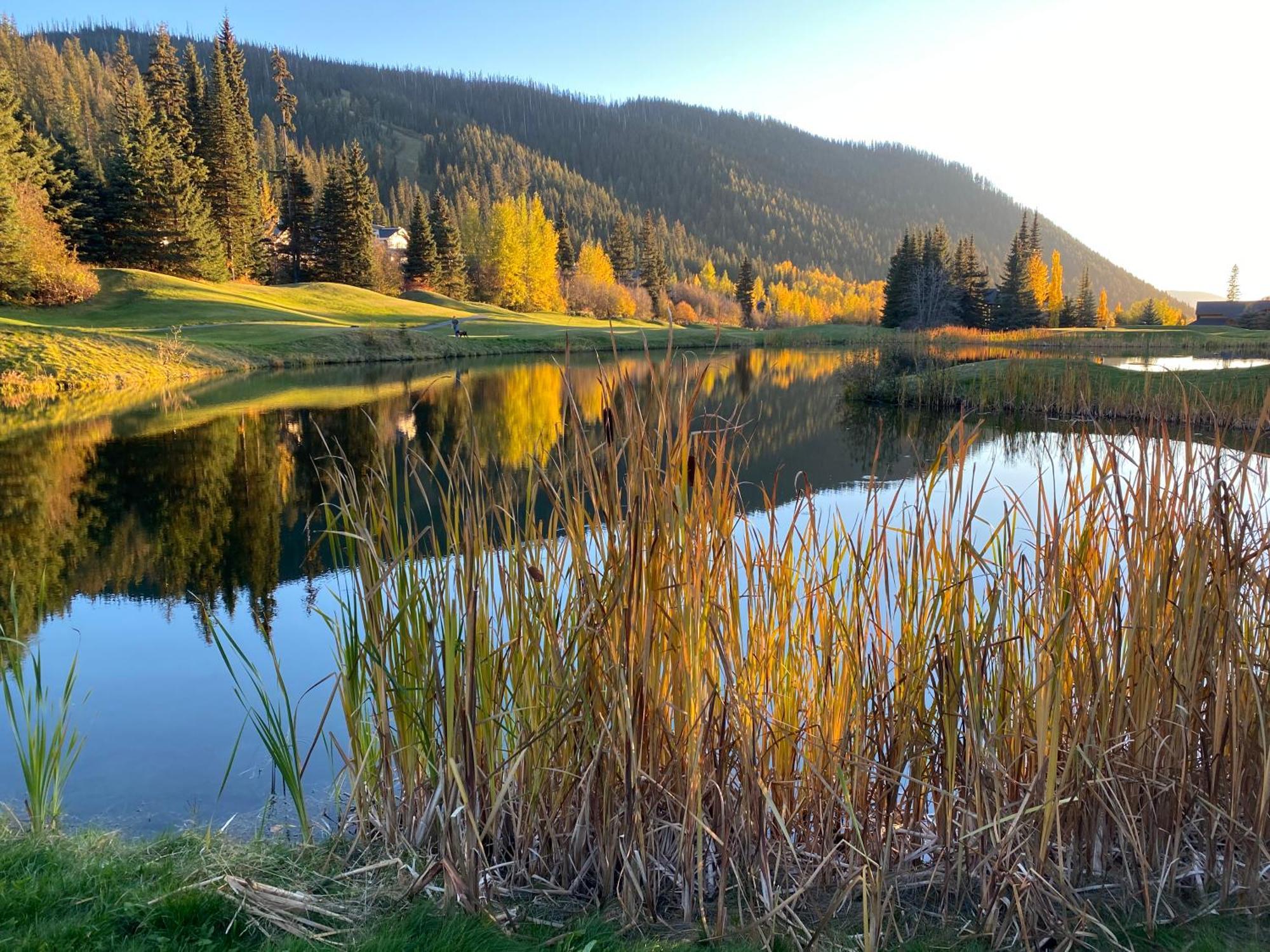 Morrisey Chalet At Sun Peaks Esterno foto